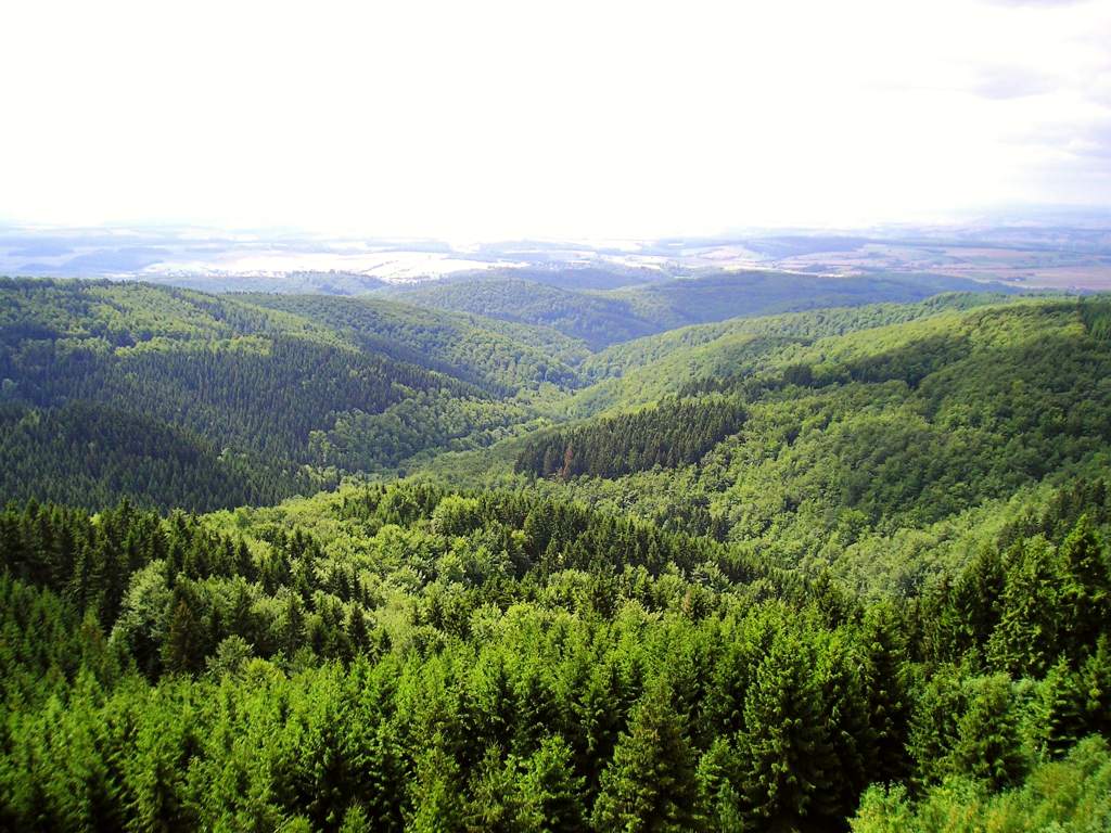The Harz with its rugged terrain extends across parts of Lower Saxony, Saxony-Anhalt, and Thuringia and has a long history of mining and being a seat of German political power, represented in the Unesco world heritage sites of Goslar and Quedlinburg.