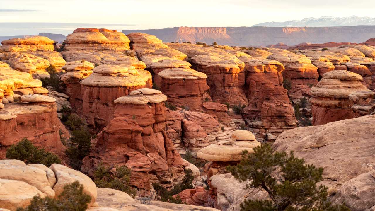 Small rounded canyons with large sandstone cliffs and mountains in the background