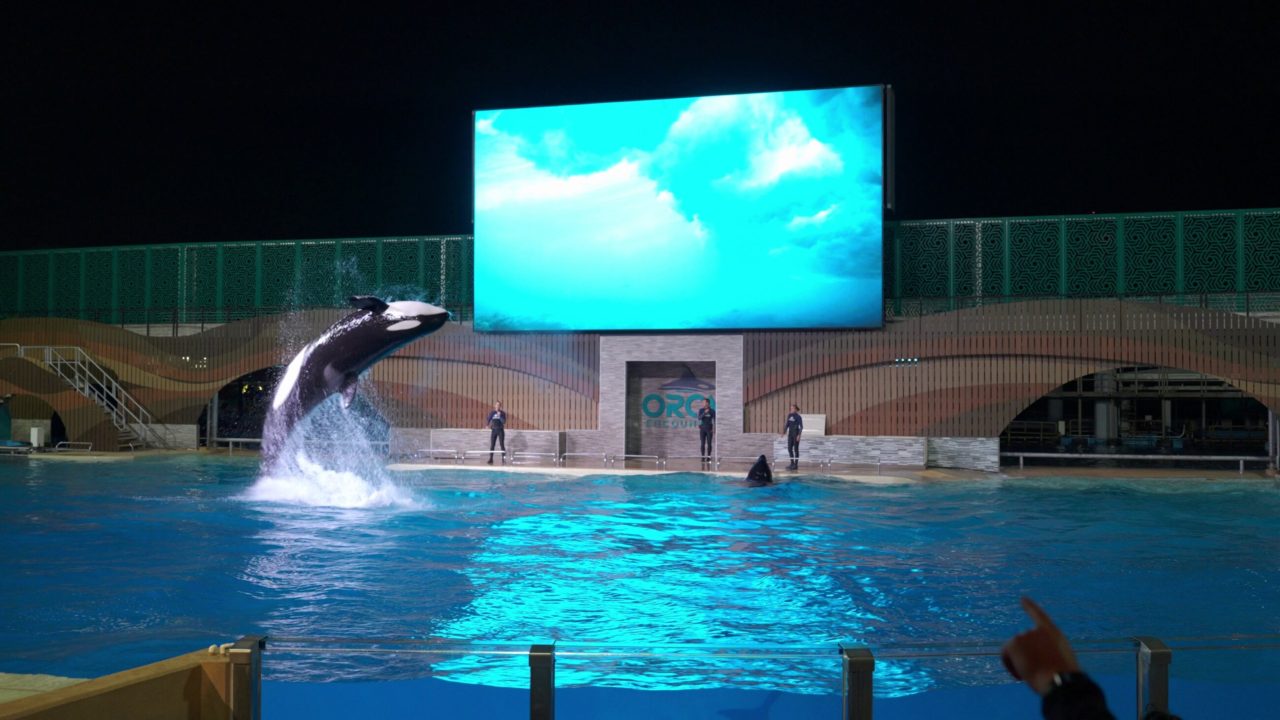 SeaWorld Orlando
