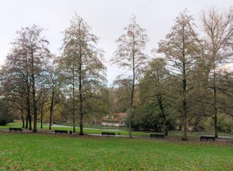 Josaphat Park