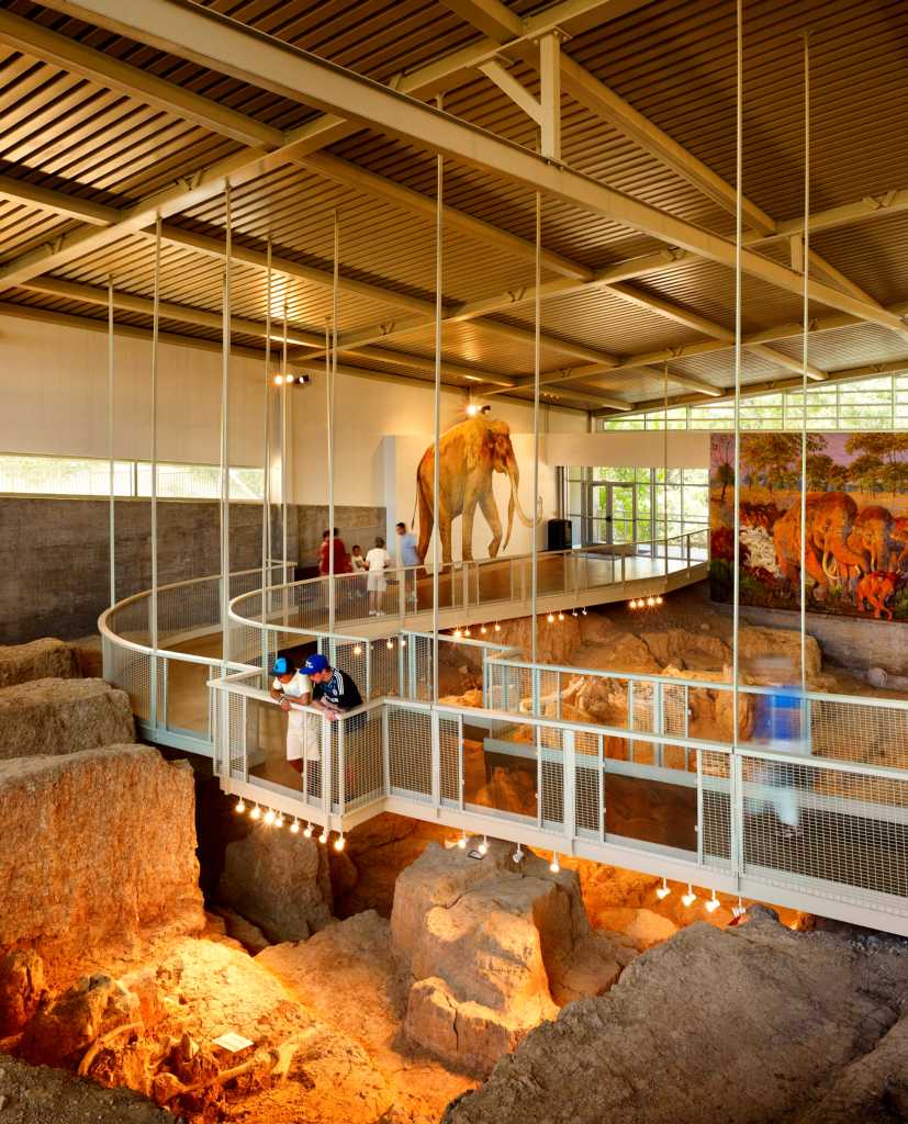 Visitors view fossils from walkway