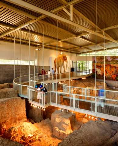 Waco Mammoth National Monument