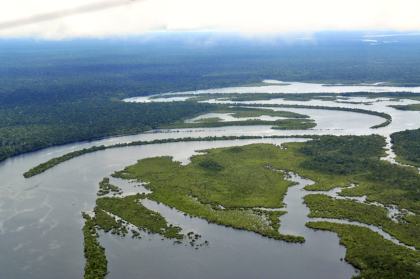 Amazon Rainforest