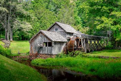 Virginia