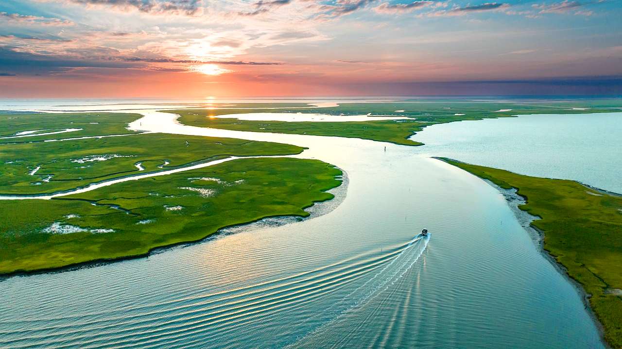 Virginia