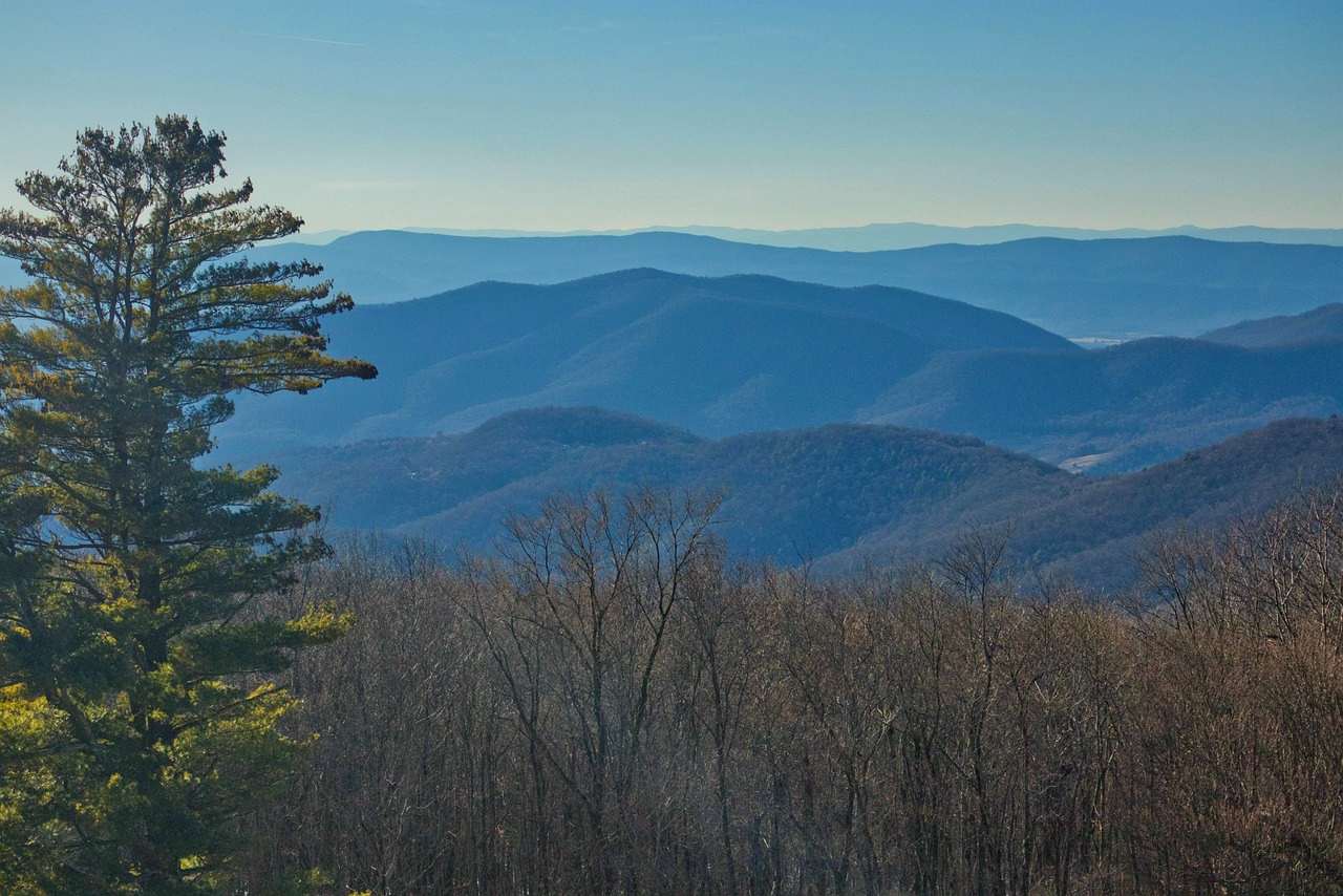 Virginia