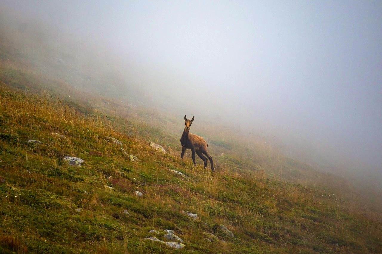 Bulgaria