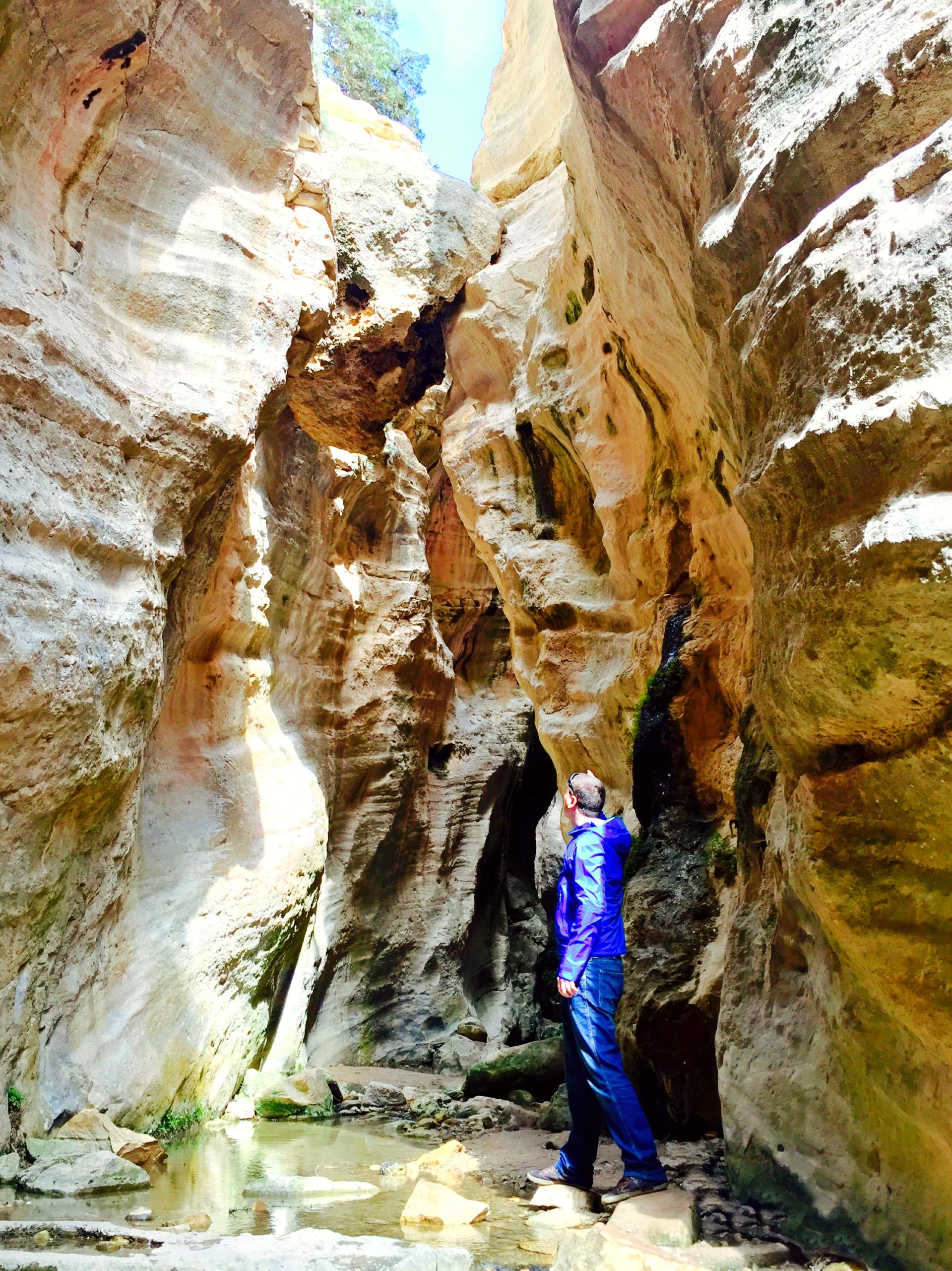 Explore the rugged beauty of Avakas Gorge
