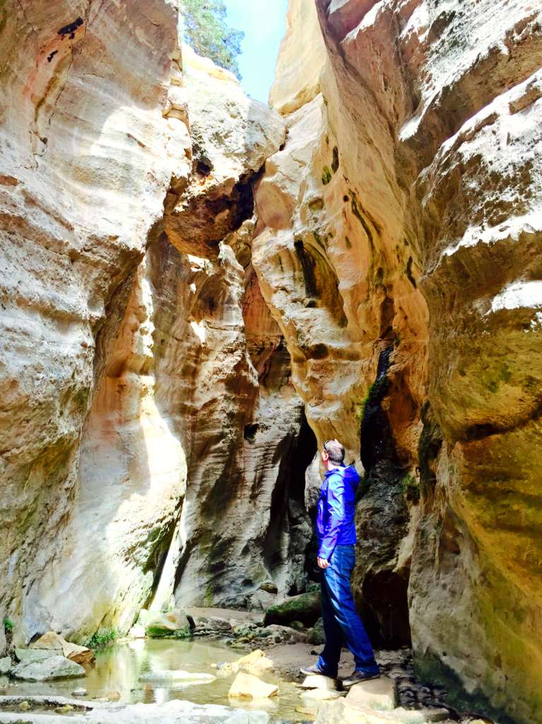 Avakas Gorge in Akamas