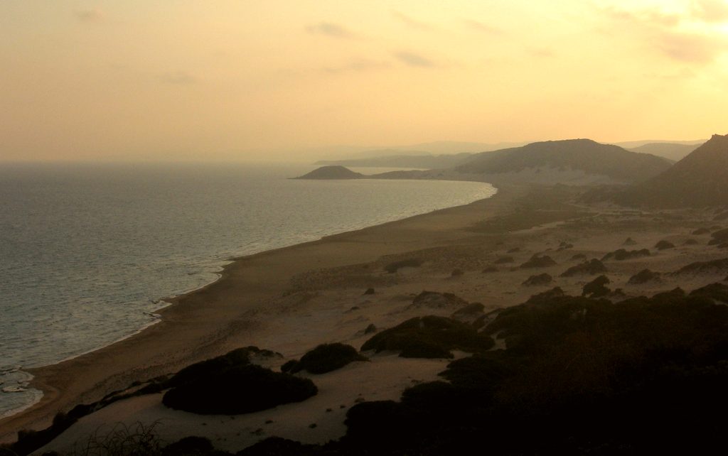 The sandy beaches are often used as habitats for green turtles