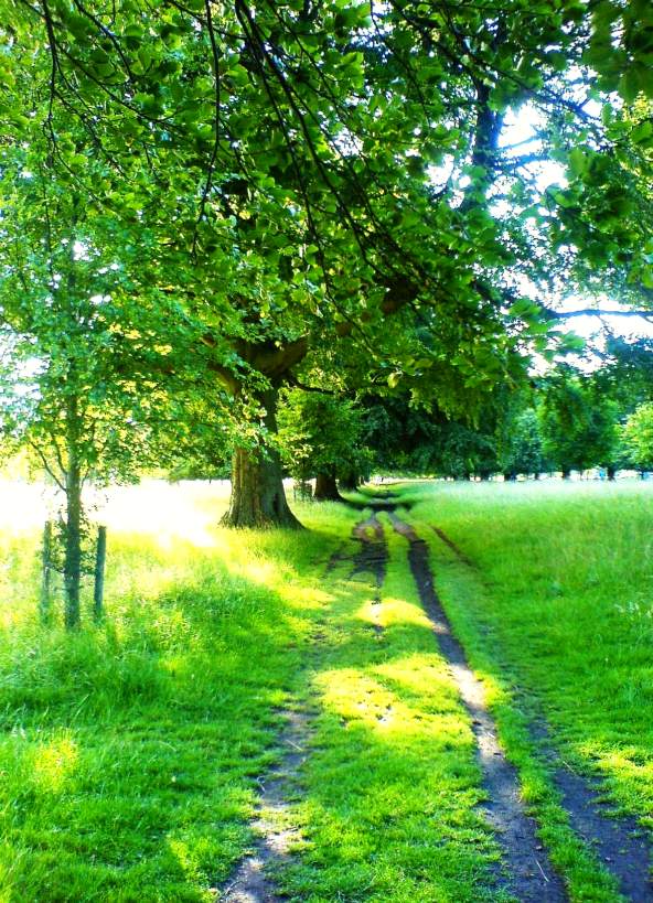 Ireland