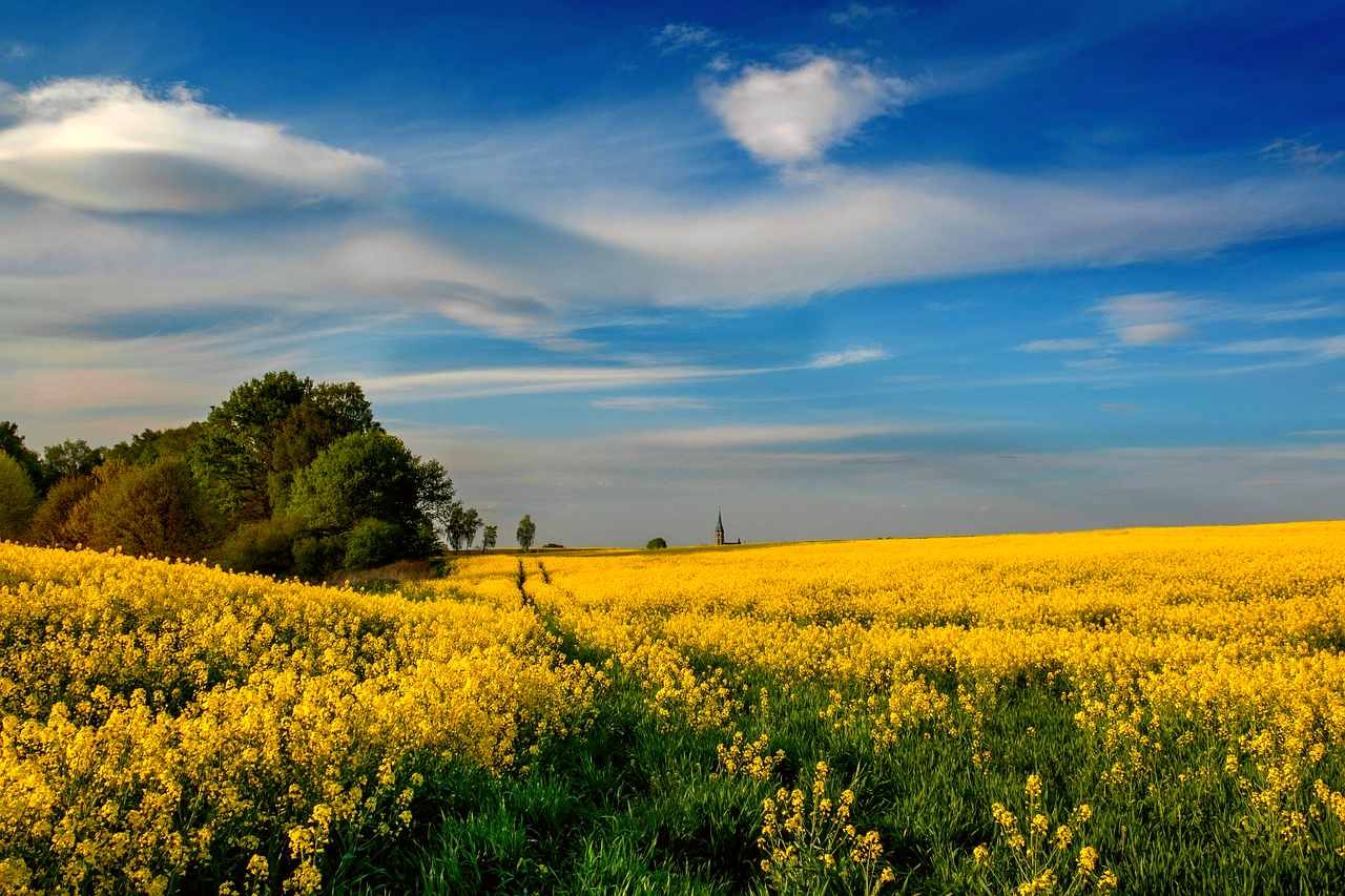 Poland