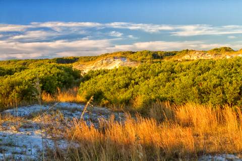 Cumberland Island