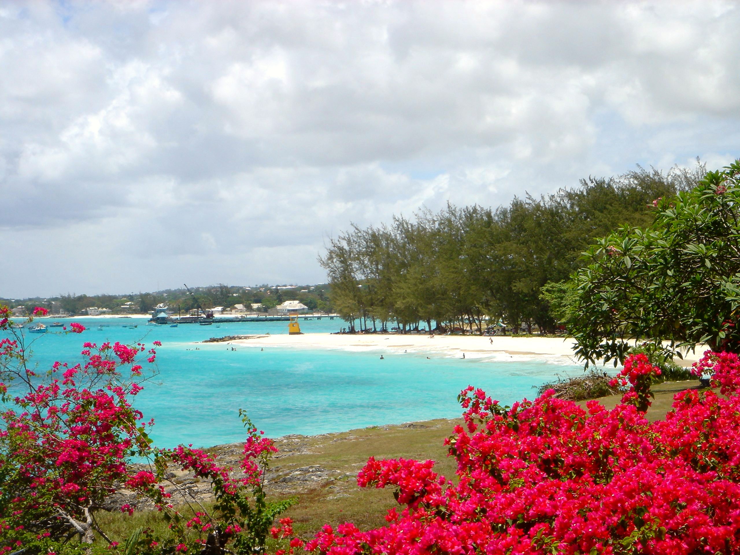 Sun-kissed shores await you