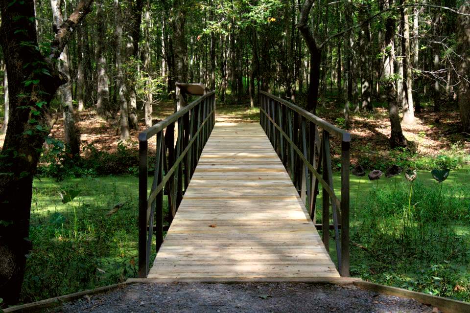 the Alligator Slough footbridge