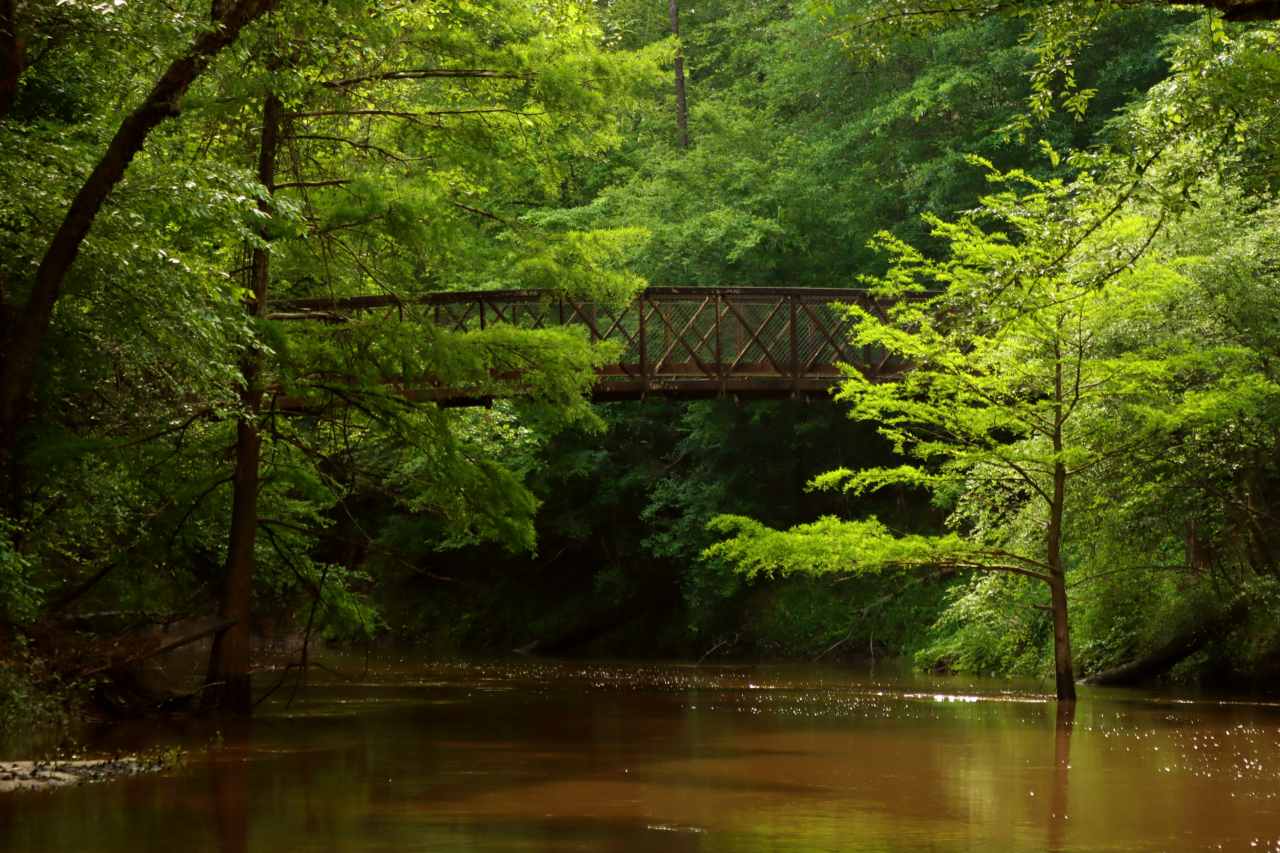 An iron bridge above a murky creek surrounded by dense woods.