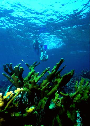 Biscayne National Park
