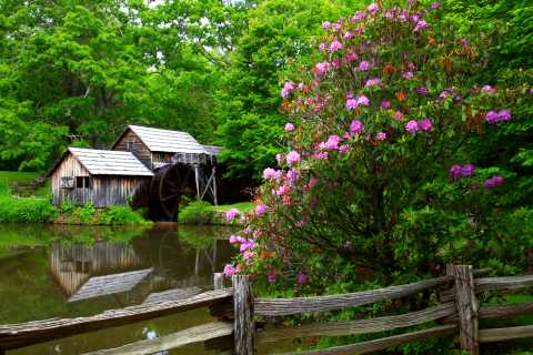 Blue Ridge Parkway