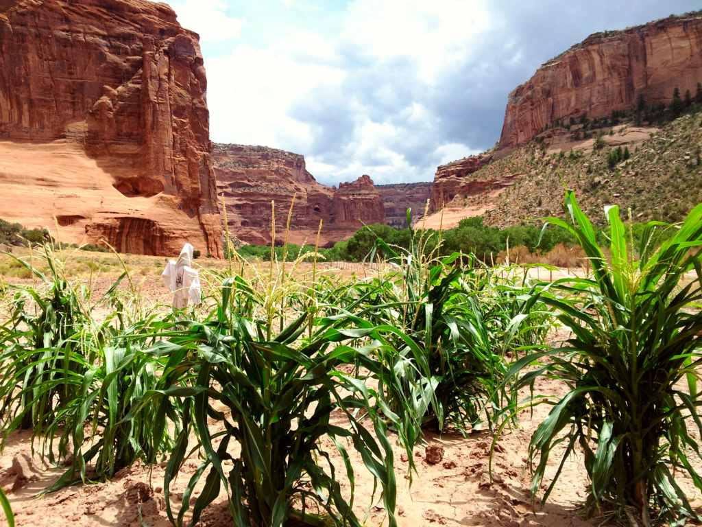 Farm in the canyon