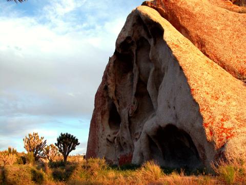 Castle Mountains National Monument
