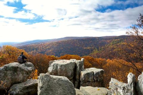 Catoctin Mountain Park
