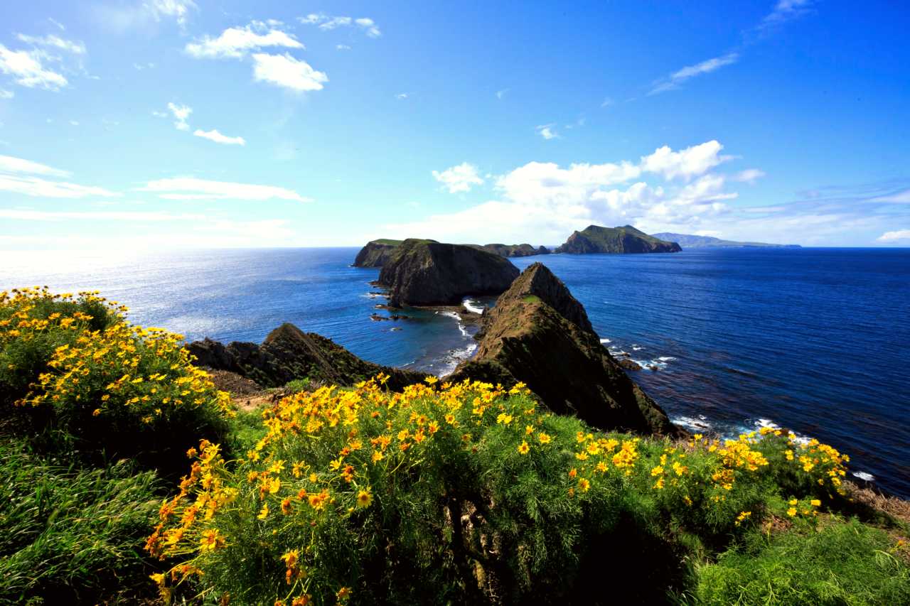 Steep, rugged ocean cliffs extending in an island chain.