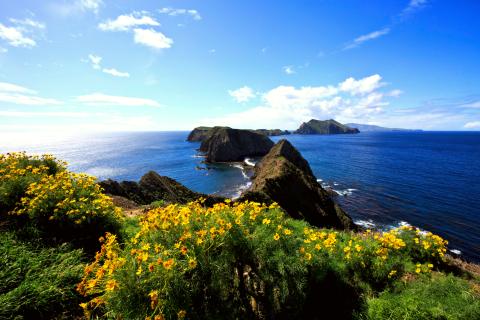 Channel Islands National Park