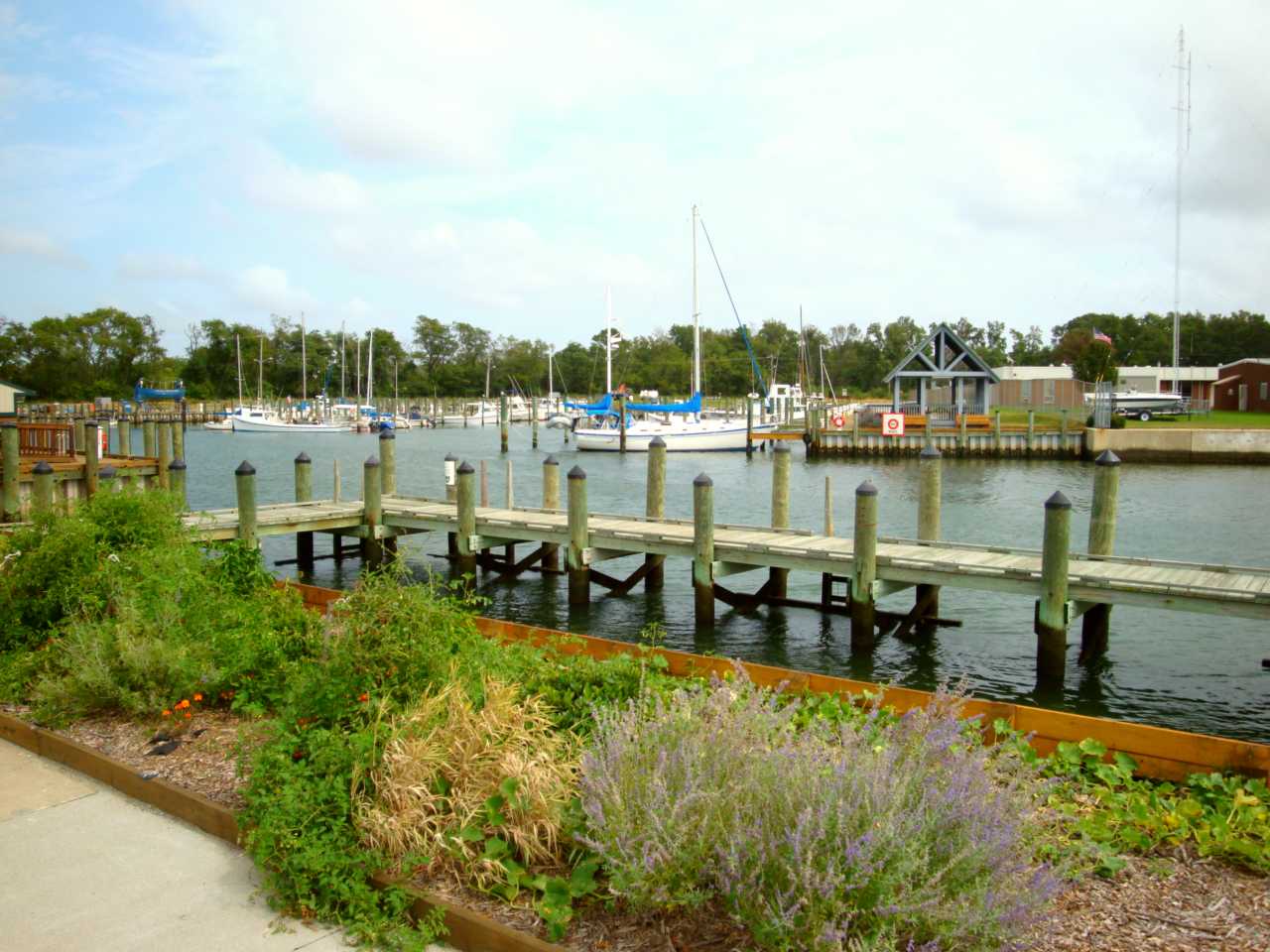 A view of docks and boats in the waterside town of Cape Charles VA