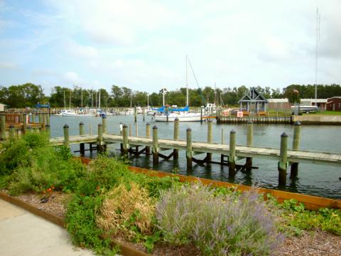 Chesapeake Bay