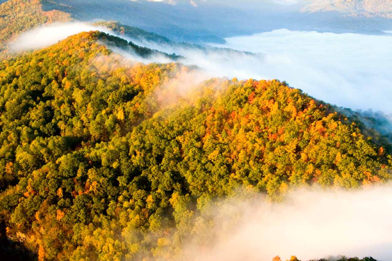 View from the Pinnacle Overlook