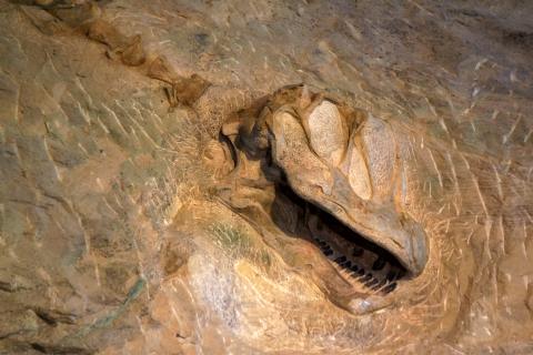 Dinosaur National Monument