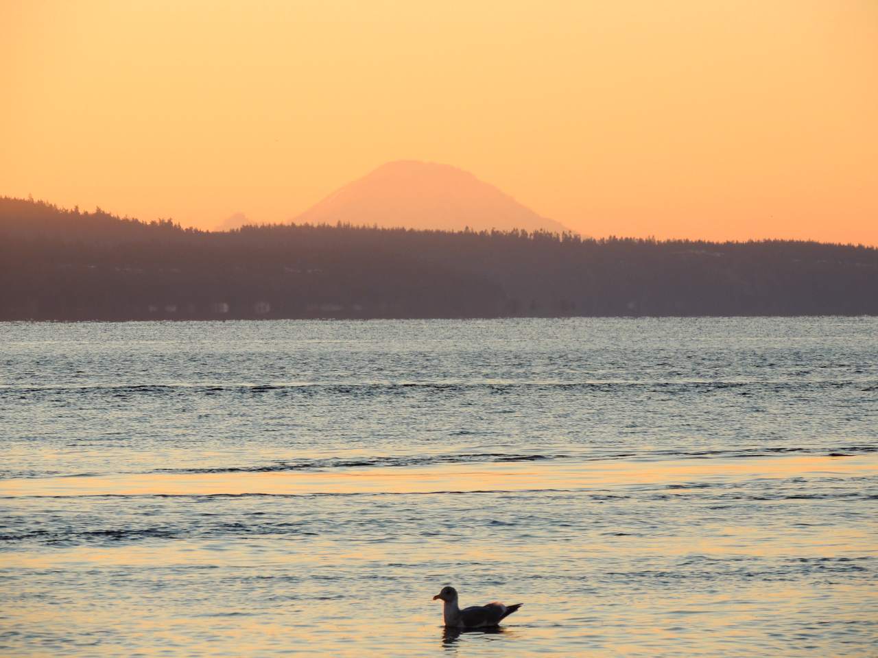 Sunrise over Admiralty Bay