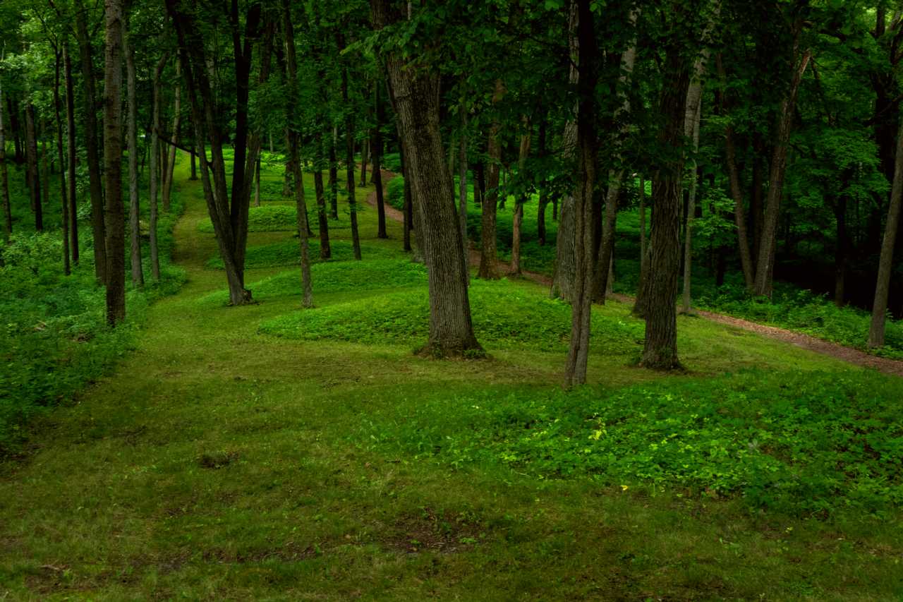 Circular mounds in a single line.
