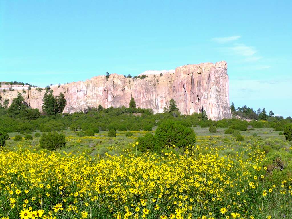 El Morro with Sunflowers