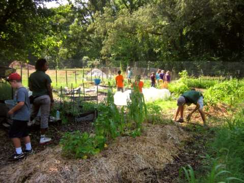 Fort Dupont Park