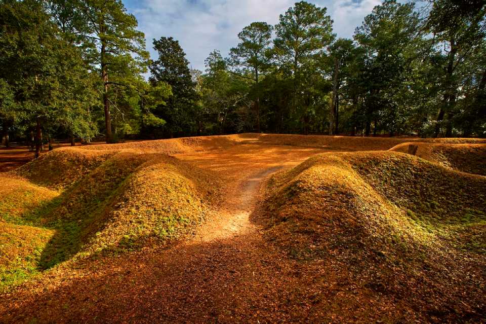 An earthworks covered in reddish-green grass about 4 feet high in a star pattern