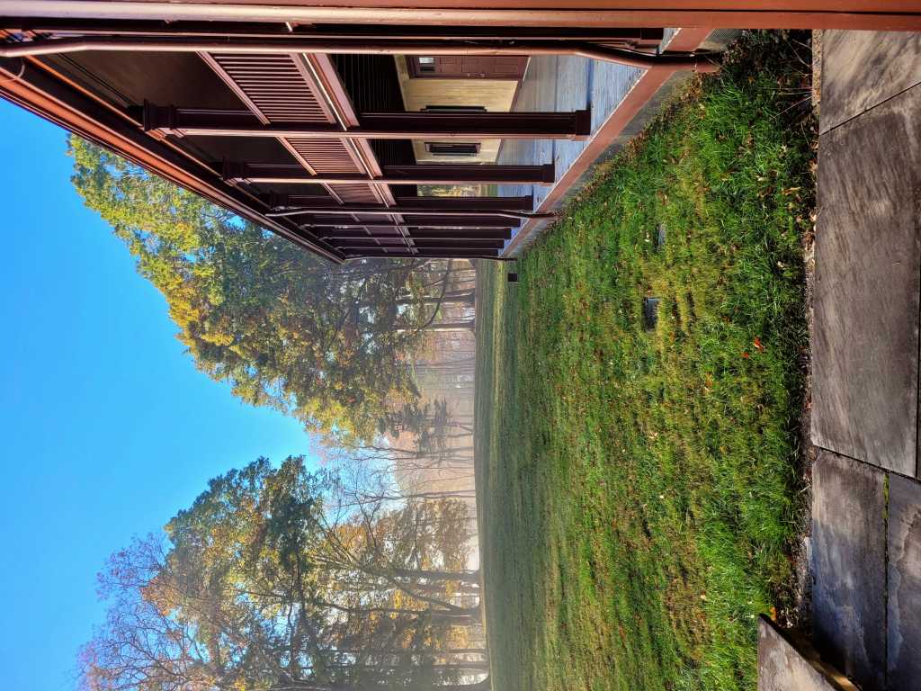 Foggy forest in background with historic house on right with a double storied porch