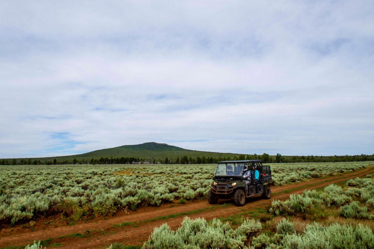 A UTV drives down a road surrounded on both sides by sage