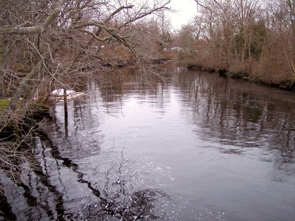 Still river in the winter with leafless trees on either side