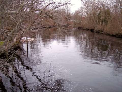 Great Egg Harbor River