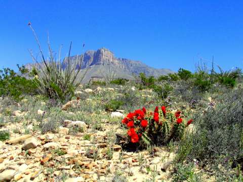 Guadalupe Mountains National Park