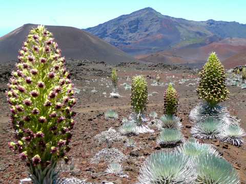 Haleakalā National Park