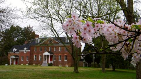 Harmony Hall