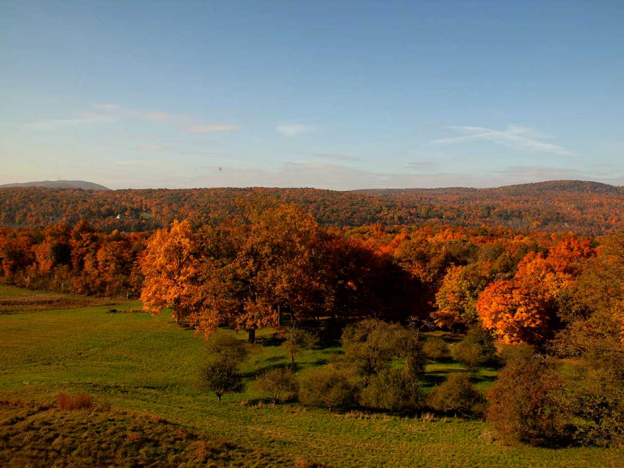 A vast lawn with apple orchard and mountain range in the distance.