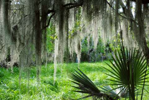 Jean Lafitte National Historical Park and Preserve