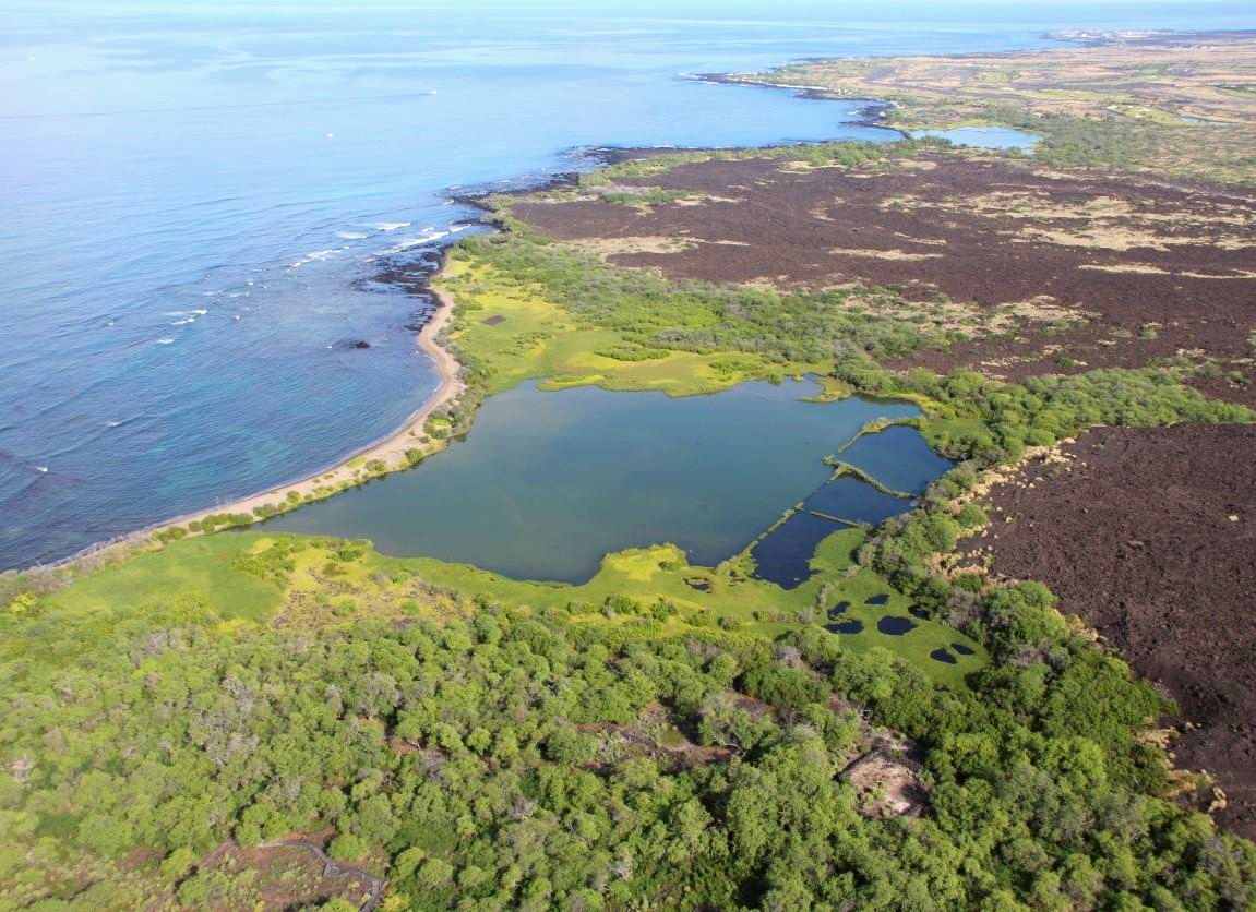 Aerial view of fishpond