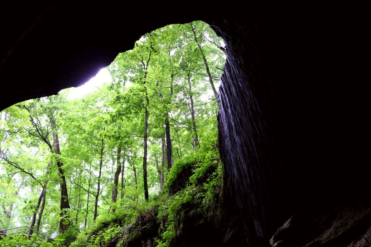 Looking out from a large cave entrance with falling water and green trees shown over the entrance.
