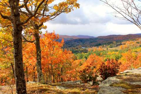 Marsh - Billings - Rockefeller National Historical Park