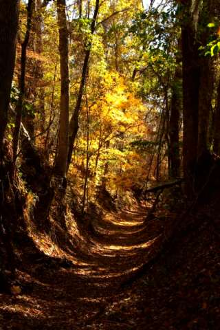 Natchez Trace National Scenic Trail