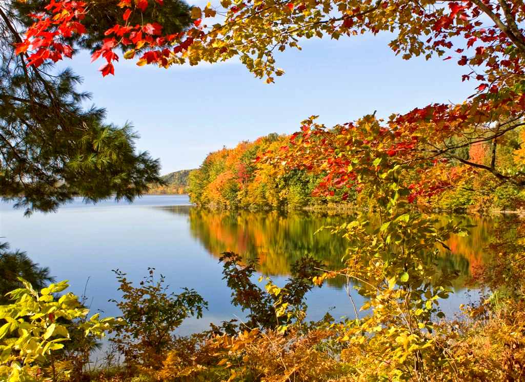 Fall colors along the trail